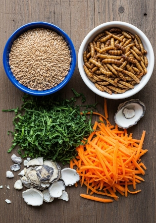 Alimento para aves Exóticas